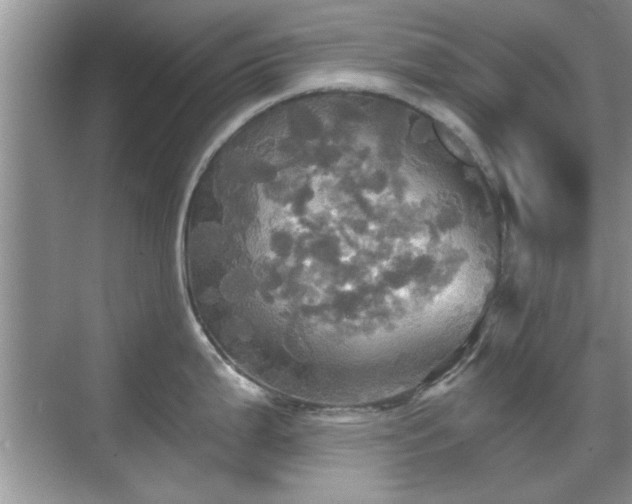 X0000070361199200606121201