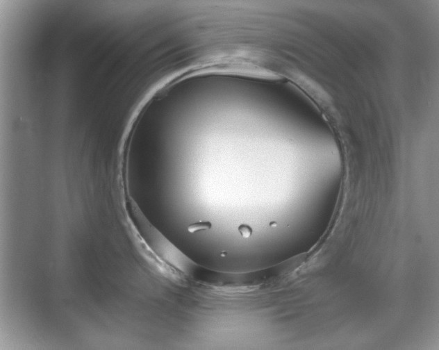 X0000070361200200606121201