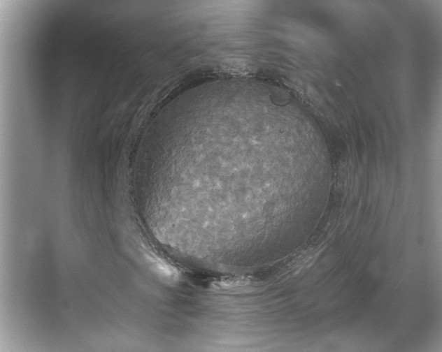 X0000070361201200606121200