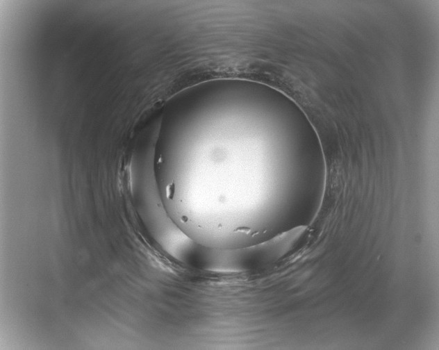 X0000070361202200606121200