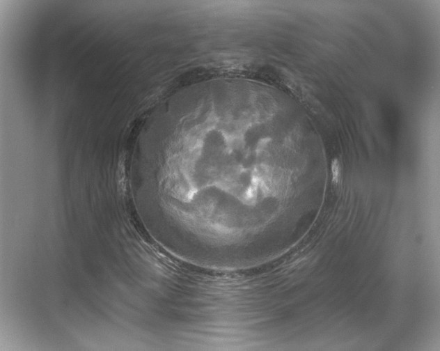 X0000070361203200606121200