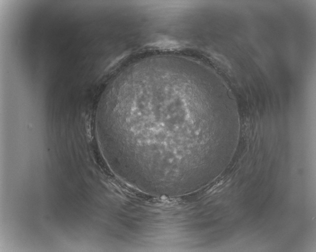 X0000070361205200606121200