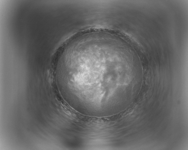 X0000070361207200606121200