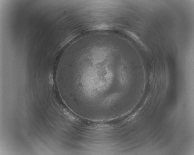 X0000070361209200606121200