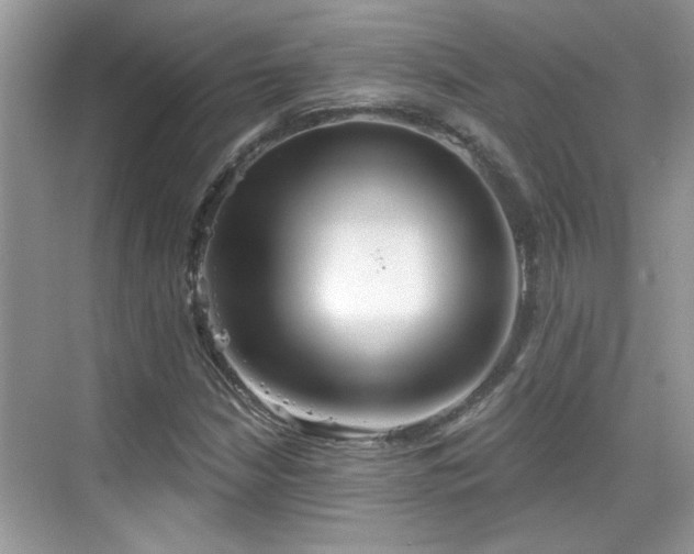 X0000070361210200606121200