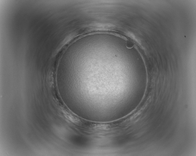 X0000070361211200606121200