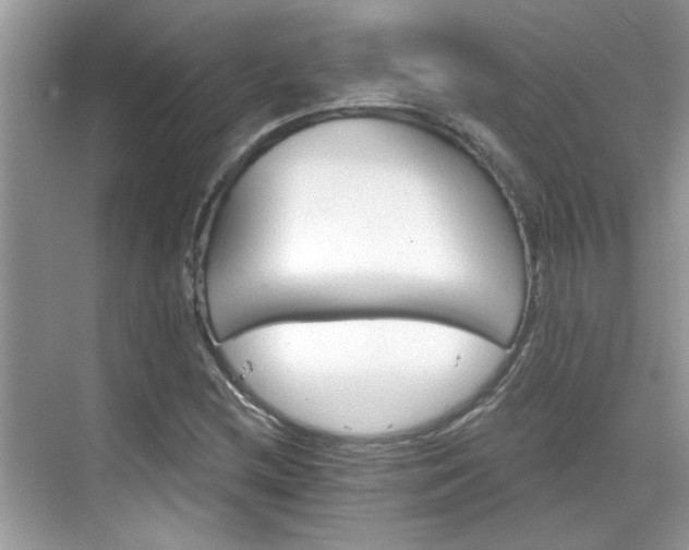 X0000070361212200606121200