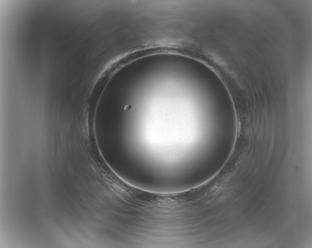 X0000070361214200606121200