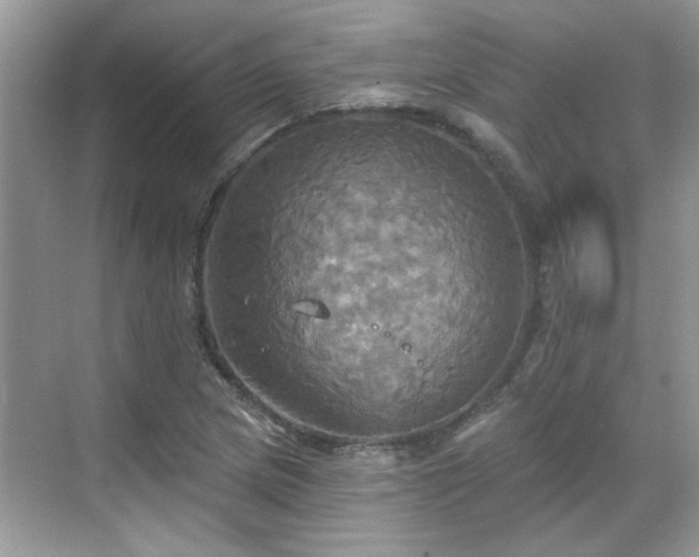 X0000070361217200606121200