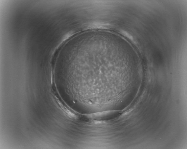 X0000070361219200606121200