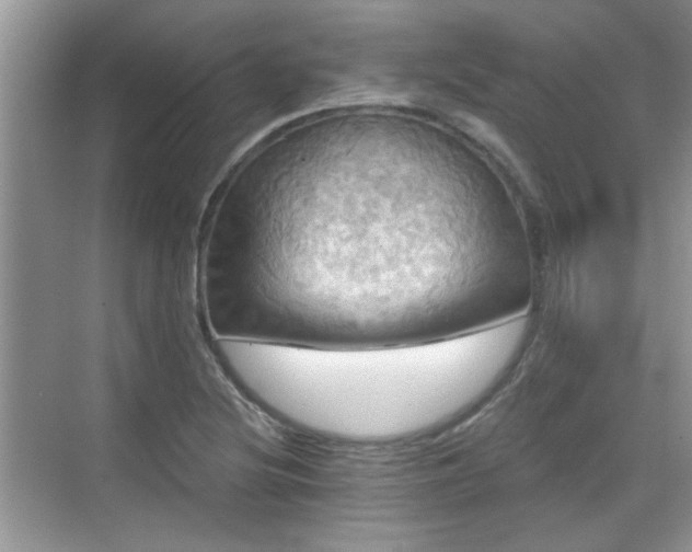 X0000070361220200606121200