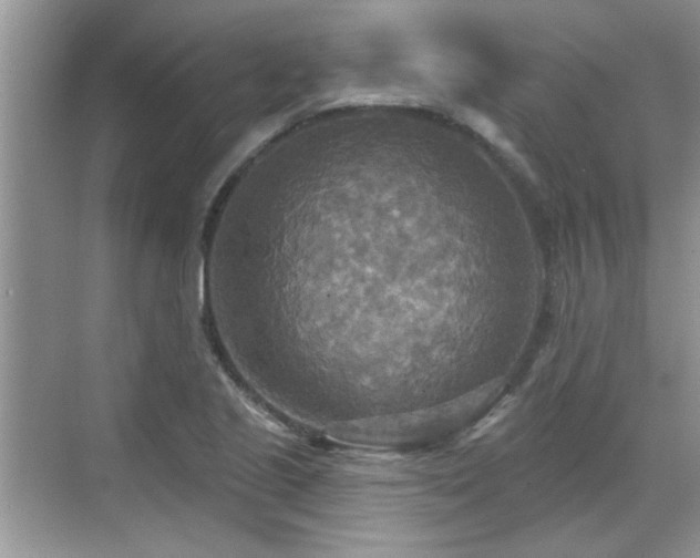 X0000070361221200606121200