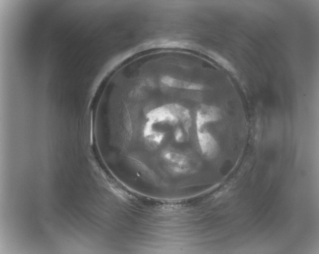 X0000070361223200606121200