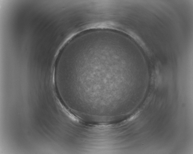 X0000070361224200606121200