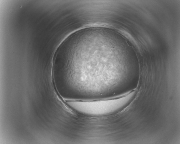 X0000070361228200606121200