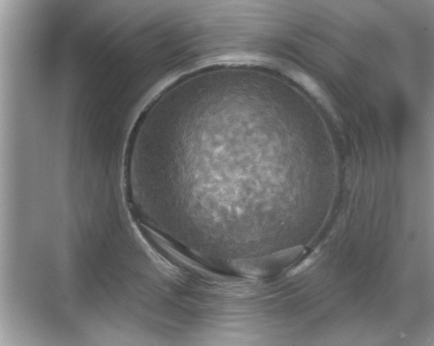 X0000070361229200606121200