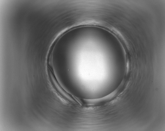 X0000070361230200606121201