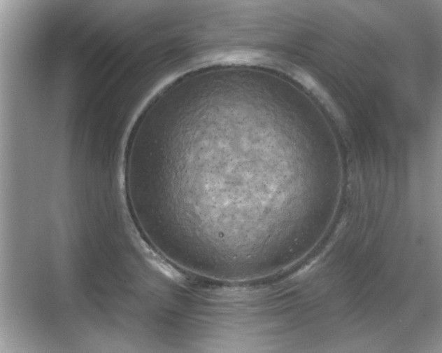 X0000070361232200606121201