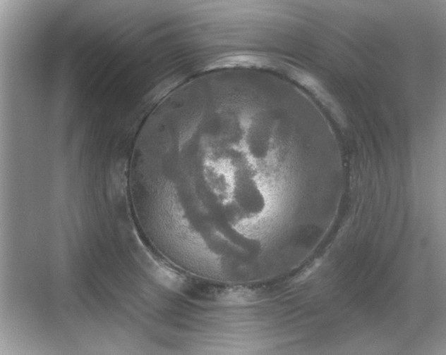 X0000070361233200606121201