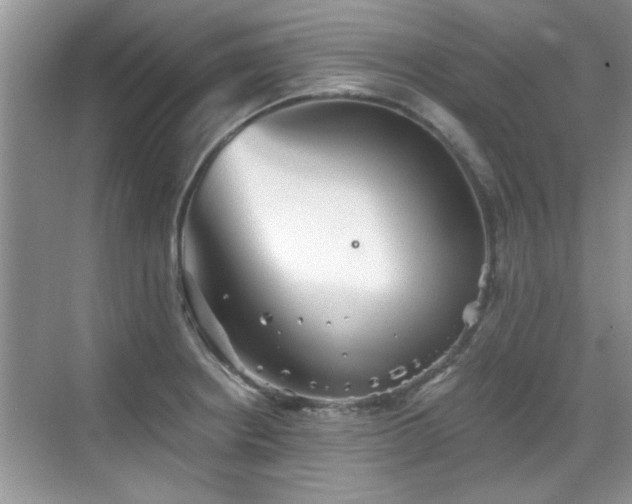 X0000070361234200606121201