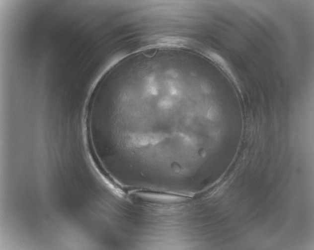 X0000070361235200606121201