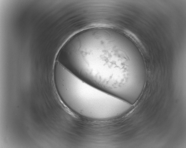 X0000070361236200606121201