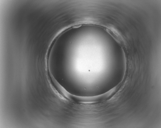 X0000070361238200606121201