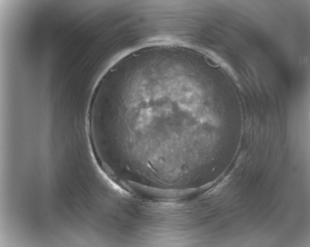 X0000070361239200606121201