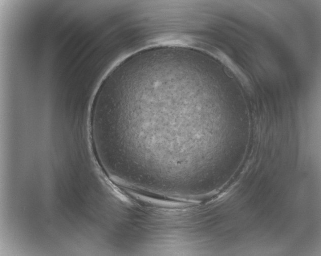 X0000070361240200606121201