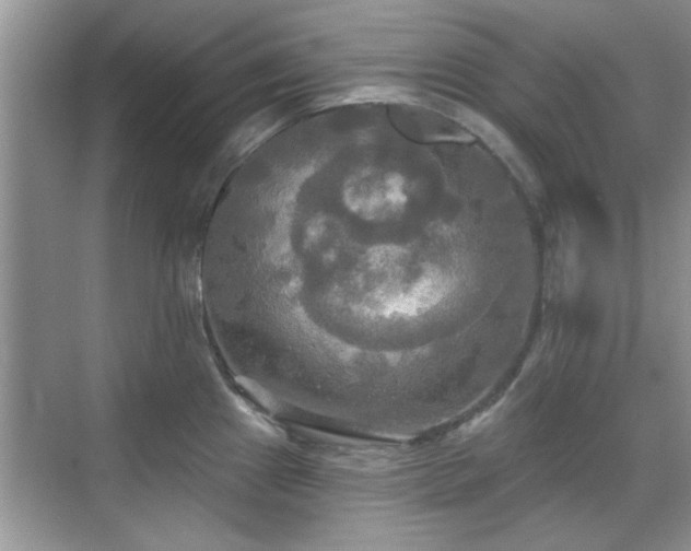 X0000070361241200606121201