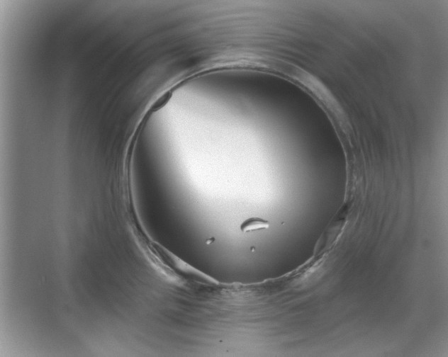 X0000070361242200606121201