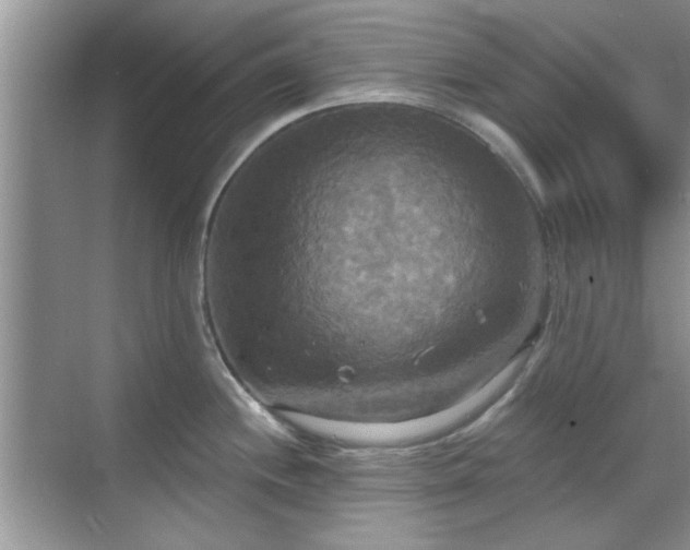 X0000070361244200606121201