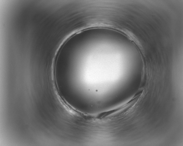 X0000070361246200606121201