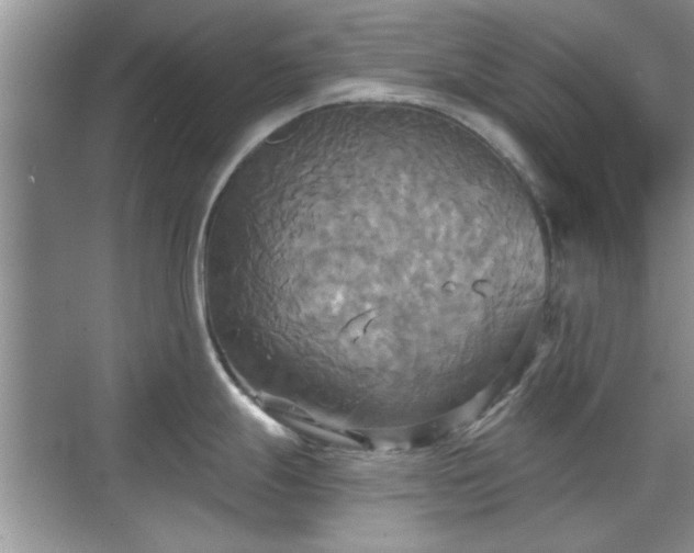 X0000070361247200606121201