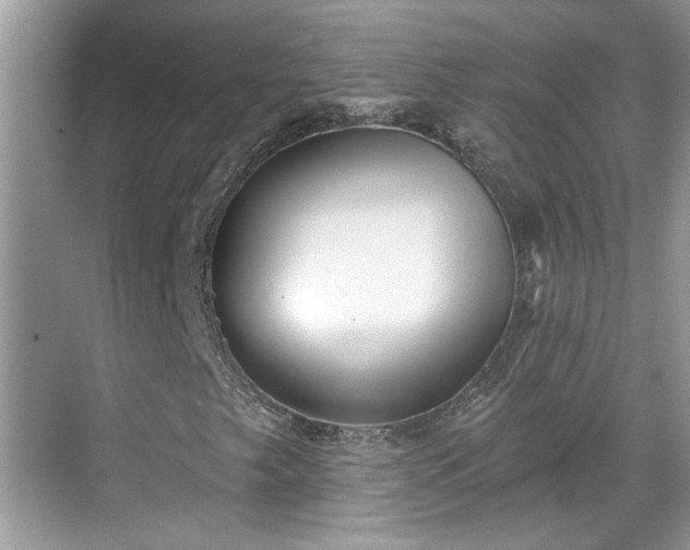 X0000070361249200606121200