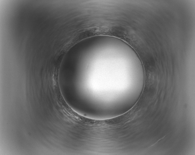 X0000070361250200606121200