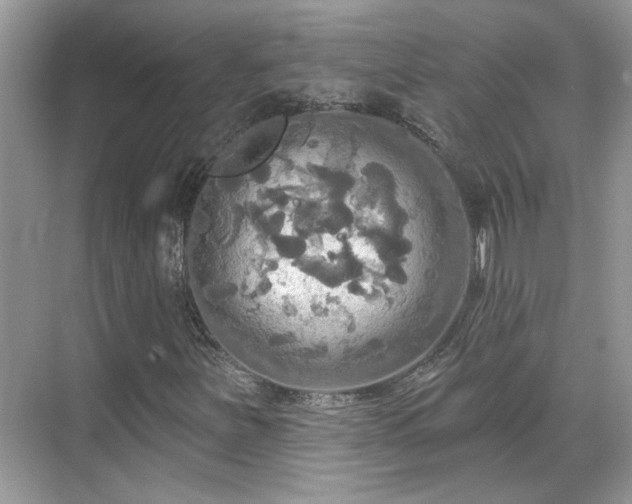 X0000070361251200606121200