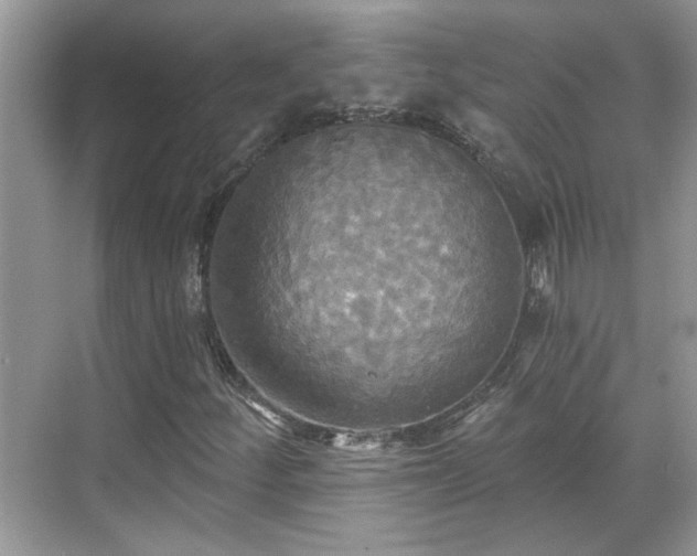 X0000070361252200606121200