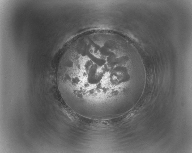 X0000070361255200606121200