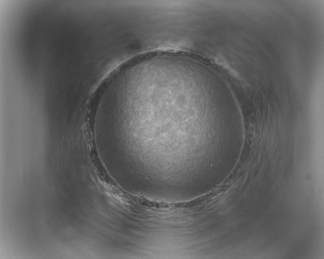 X0000070361256200606121200