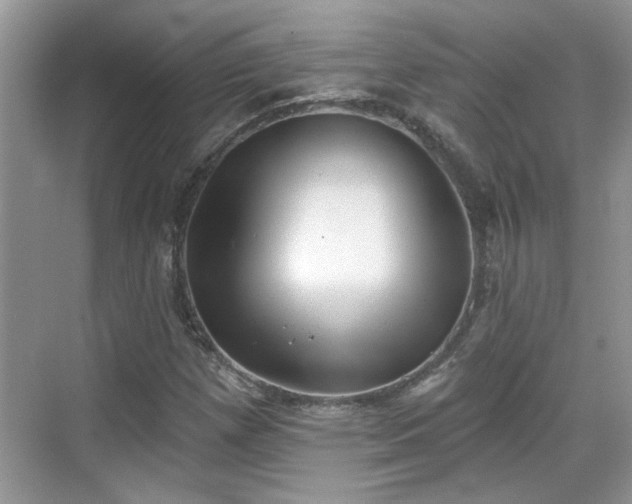 X0000070361257200606121200