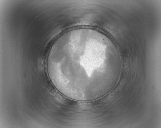 X0000070361258200606121200