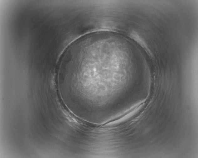 X0000070361260200606121200