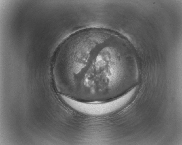 X0000070361263200606121200