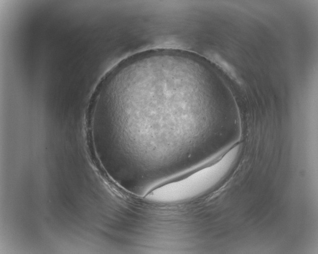 X0000070361264200606121200