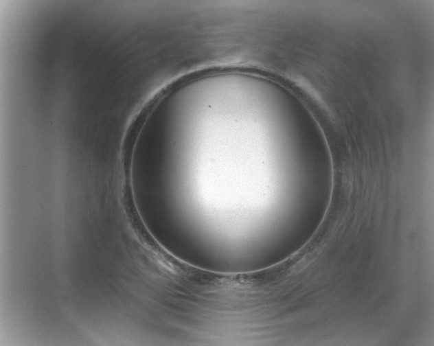 X0000070361270200606121200