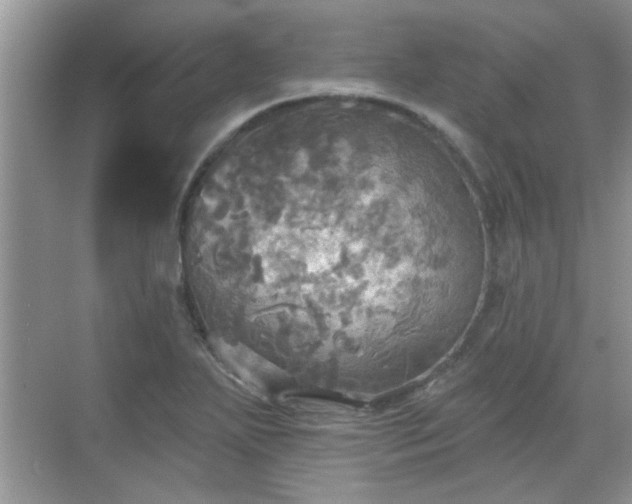 X0000070361271200606121200