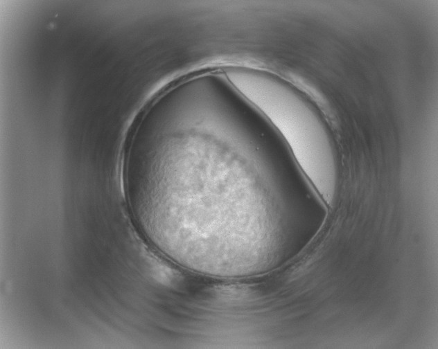 X0000070361272200606121200