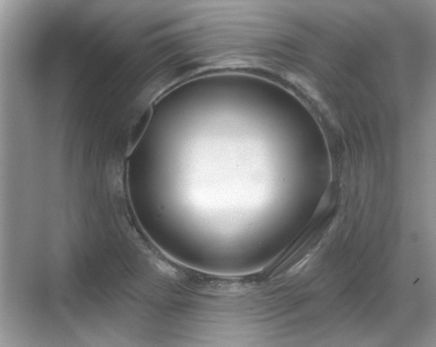 X0000070361273200606121200