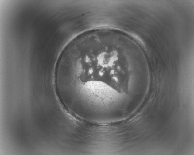 X0000070361279200606121200